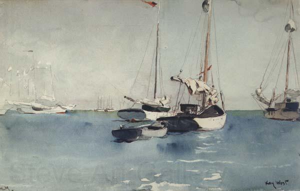 Winslow Homer Key West (mk44) Spain oil painting art